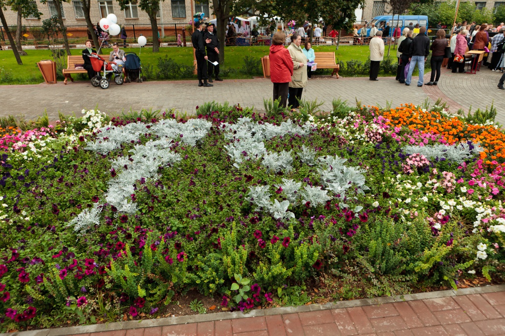 IMG_9948.jpg